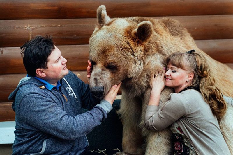 23 years ago adopted orphaned bear still lives with his kind humans as a domesticated pet 