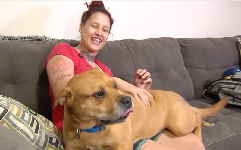 Woman looking to adopt a new dog for her sons occasionally found her lost pet at the shelter