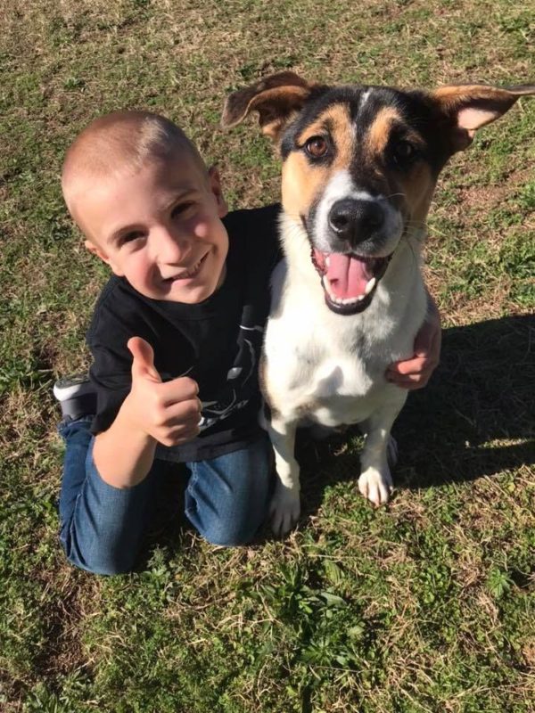 A seven-year-old boy with a kind heart saved 1,300 unwanted dogs by finding them owners and was named "Kid of the Year"