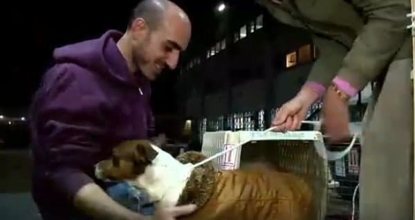 The woman can't decide which dog to rescue from the worst shelter she has ever seen, so she buys the entire shelter