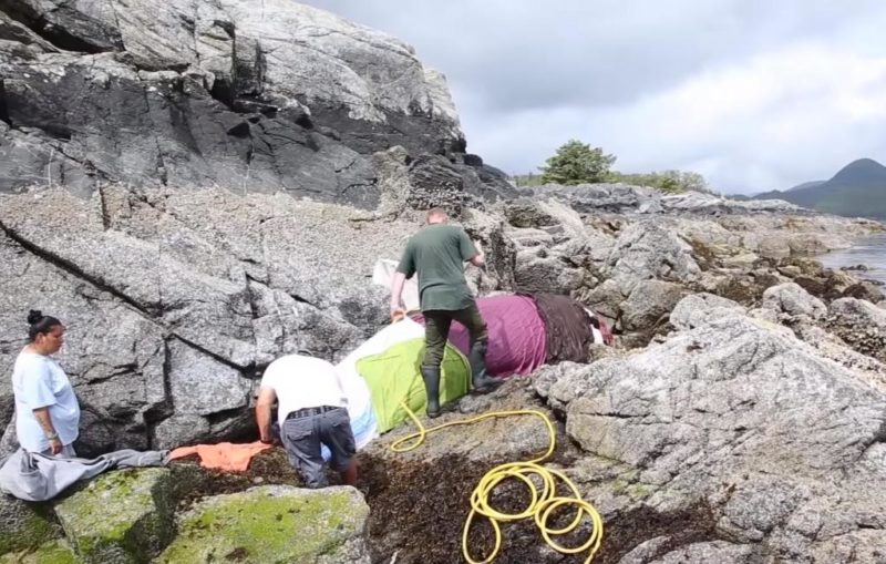 The orca got stuck among the rocks and was crying for hours so a group of strangers decided to save him