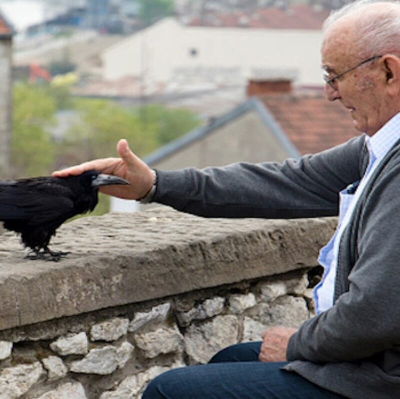 He thought he was simply feeding a bird, but what this crow brought back a year later warmed his heart