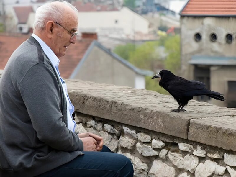 He thought he was simply feeding a bird, but what this crow brought back a year later warmed his heart