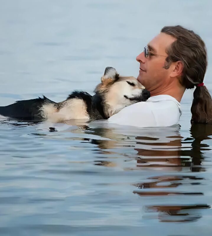Every evening, a simple gesture but full of emotion, a suspended moment between a man and his dog
