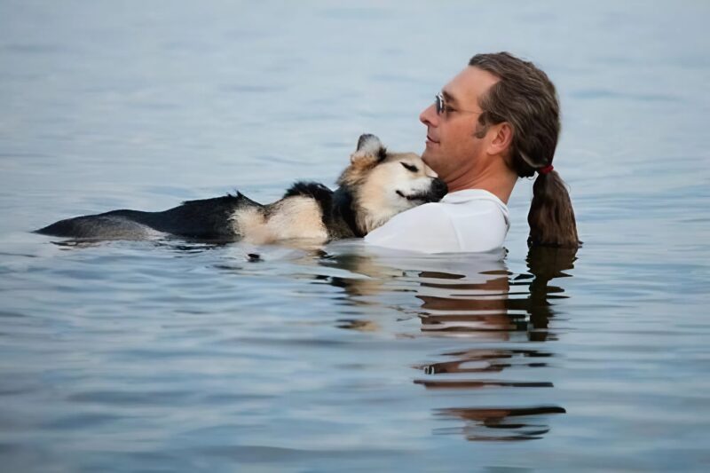 Every evening, a simple gesture but full of emotion, a suspended moment between a man and his dog