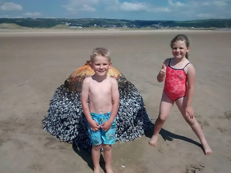 A child discovers a mysterious object on the beach – What experts revealed will chill you to the bone