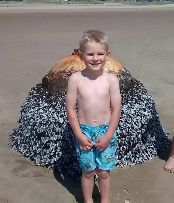 A child discovers a mysterious object on the beach – What experts revealed will chill you to the bone