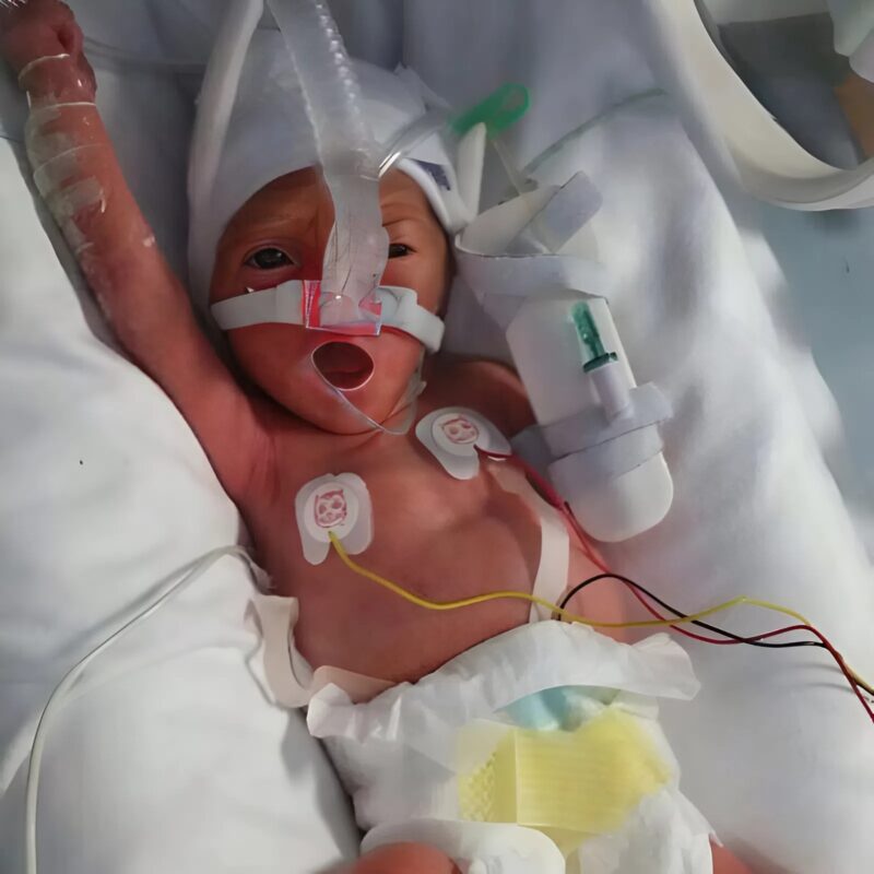 Everyone in the hospital room froze: no one understood why the silence was so heavy, until they finally realized the unthinkable