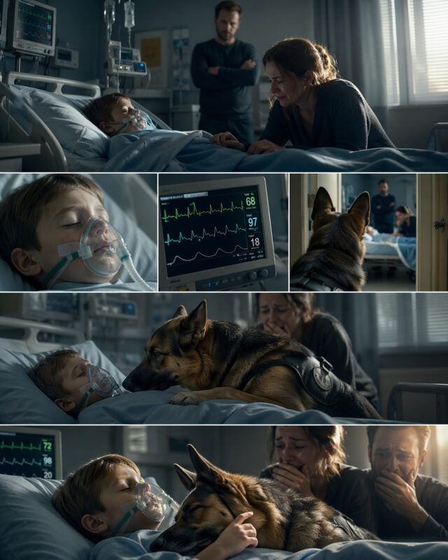 The doctors had prepared the family to say goodbye — until the boy’s dog entered the intensive care unit, and something completely unexpected happened…