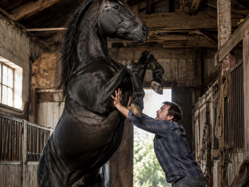 A horse suddenly attacked the man who had raised him since birth and nearly left him permanently disabled. Convinced that the animal had gone mad, his owner was about to make an irreversible decision... until he uncovered the heartbreaking truth behind his strange behavior